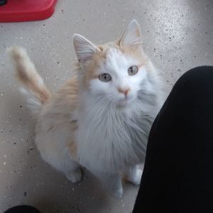 Meet your Posher, Ava